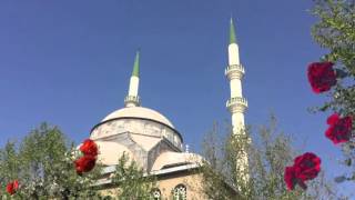 Fatiha ihlas Felak Nas Kadr Ayetel Kursi Amenerrasulü [upl. by Ytsim]