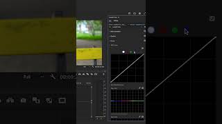 What are RGB Curves in Lumetri colorgrading lumetricolor [upl. by Orv]