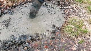 210420121 Aigle Parcours Vario cleaning in a puddle [upl. by Colleen]