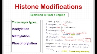 Histone Modifications [upl. by Fogg]