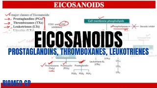 Eicosanoids Prostaglandins Thromboxanes and Leukotrienes [upl. by Ahsauqram]