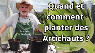 8 Conseils Essentiels pour Réussir la Plantation des Artichauts [upl. by Delphinia]