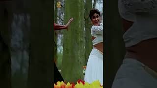 Alachudu Premalokam Video Song  Preminchukundam Raa  Venkatesh Anjala Zaveri  shorts ytshorts [upl. by Ursuline]