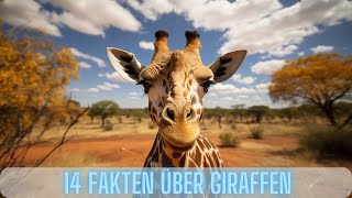 🦒🌍 14 Faszinierende Fakten über Giraffen 🌿📚 TiereXplore Giraffen Fakten🤩😮 [upl. by Rodgers]