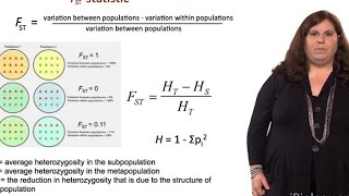 Measuring Genetic Variation FST Statistic  Sarah Tishkoff U Pennsylvania [upl. by Lottie]