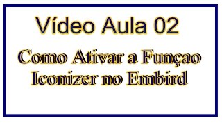 Video Aula 02  Como Ativar a Função Iconizer no Embird [upl. by Iasi]