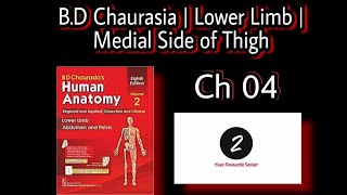 Medial Side of Thigh Antomy  Lower Limb  Chapter 4  BD Chaurasia  Volume 2 [upl. by Yanrahc417]