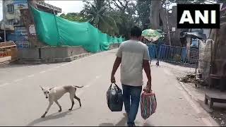 WEST BENGAL PEOPLE ARRIVE IN INDIA FROM BANGLADESH CROSSING PETRAPOLEBENAPOLE BORDER [upl. by Dnomzed]