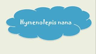 Hymenolepis nana amp diminuta amp Dipylidium caninum [upl. by Cartwell]