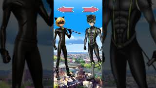 Original Cat Noir vs FanMade Cat Noir Which Look Do You Like More Comment Your Favorite [upl. by Ahsiema467]