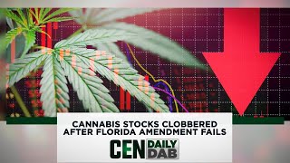 Cannabis Stocks Clobbered After Florida Amendment Fails [upl. by Dlonra]