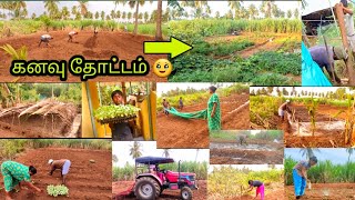 ஐந்து வருட 👣கனவு இன்று நனவானது 🥹🥹 1 மாசமா எவ்வளவு வேலை 😥our dream vegetable garden ♥️ [upl. by Paulie]