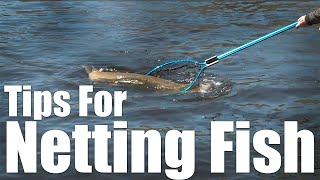 Tips For Netting Fish [upl. by Eixela849]