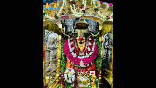 vindhyachal darsan vindhyachal mandir vindhyachal youtubefeed youtubeshorts shorts bhaktistatus [upl. by Voccola344]