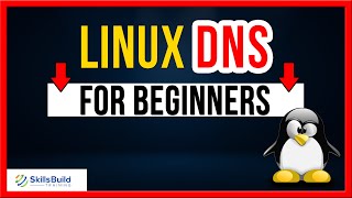 Linux DNS Server Configuration for Beginners [upl. by Bannon]