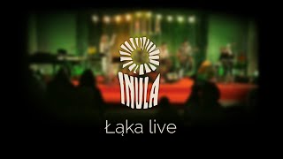 Inula  Łąka live  Ostrowiecki Browar Kultury 22092024 r [upl. by Halle639]