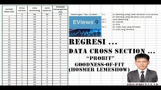 Cara Section GoodnessOfFitTest Hosmer Lemeshow  Probit Data Cross Section  Eviews 9 Part2 [upl. by Onder505]