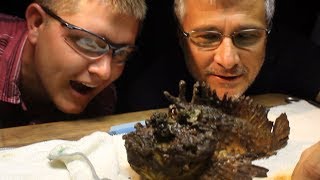 Milking the WORLDS MOST VENOMOUS FISH  Smarter Every Day 117 [upl. by Aicek]