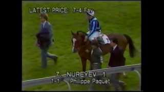 1980 2000 guineas known fact nureyev [upl. by Aerdnac329]