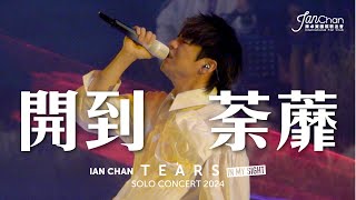 Multi Angle 4K Ian Chan quotTearsquot in my sight solo concert 2024 《開到荼蘼》 [upl. by Burke]