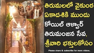 Koil Alwar Thirumanjana Seva in Tirumala prior to Vaikunta Ekadasi exclusive video [upl. by Elleirbag82]