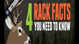 4 Facts You NEED To Know About Deer Antlers [upl. by Binky]