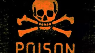 Rancid  Poison MUSIC VIDEO [upl. by Idalla]