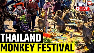 Thailand News Live  Monkey Festival 2022 Live  Monkey Festival Underway In Thailand  News18 Live [upl. by Akkimat93]