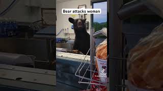 Bear attacks woman viral trending shorts youtubeshorts bear woman dangerous animals nature [upl. by Attalanta237]