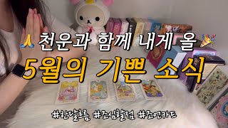 행운이 함께할 5월☀️의 기쁜 소식🎉 한 달 전반적 흐름 주의할 점과 조언카드 등등 함께 알아보아요❤️ 소름돋는 예언🌟 [upl. by Banebrudge]