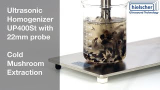 Ultrasonic Extraction of Mushrooms  Hielscher Ultrasonics 400 Watts Sonicator [upl. by Zima]