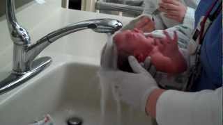 Lillians first bath [upl. by Adah]