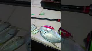 Talakitok Fish On yotubeshorts yotubeshorts fishing orientalmindoro islanding angler [upl. by Karon824]