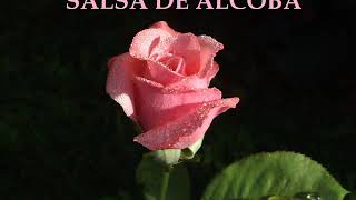 SALSA DE ALCOBA ROMANTICA GRANDES EXITOS2020 [upl. by Hemingway]