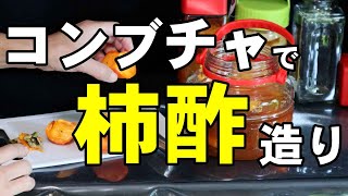 失敗しない「柿酢」造りにチャレンジ❢【コンブチャで柿酢造り】 [upl. by Kalbli]