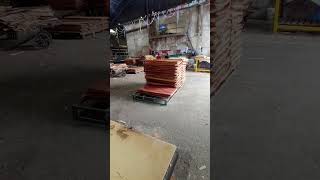 eucalyptus hardwood core veneer making plywood core veneer hardwood eucalyptus viralvideo [upl. by Aihtiekal]