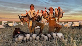 Specklebelly Goose Hunting in WHITES in Alberta Juvie Soup [upl. by Siuoleoj]