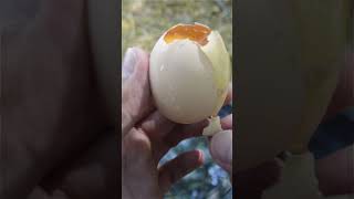 Survival Skills Cooking an Egg with Eggs 🍳🔥 survival camping outdoors bushcraft [upl. by Adnolrehs]