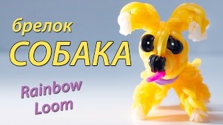 СОБАКА щенок из Rainbow Loom Bands Урок 98 [upl. by Trik]