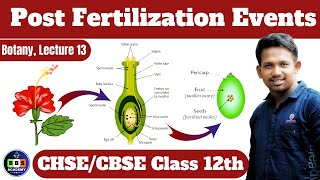 Post Fertilization Events  Class 12th  Lecture 13 biologybotanyclass12 [upl. by Aylad]