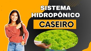 Sistema Hidropônico Caseiro Cultive Alimentos Saudáveis e Sustentáveis Sem Sair de Casa [upl. by Nos]