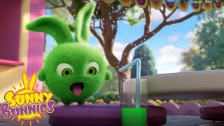 MYSTERY FRUIT JUICE  SUNNY BUNNIES  Season 5  Cartoons for Children [upl. by Frans193]