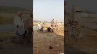 Most wonderful traditional village life PakistanOld culture of Sindhshorts budhosiyalvlog [upl. by Harris]