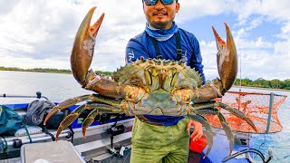 BEST TASTING CRAB  Massive Mudcrab in Australia [upl. by Sven]