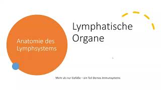 Anatomie des Lymphsystems Teil 5 Lymphatische Organe Lymphknoten Aufbau und Funktion Lymphdrainage [upl. by Dobrinsky]