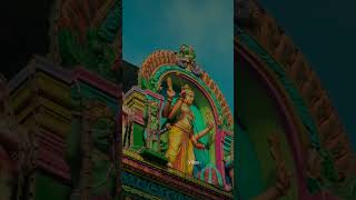 mannanalum thiruchenduril mannaven whatsapp status  vibes shorts devotional god murugan song [upl. by Wilen]