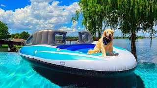 BUYING MY DOG A YACHT FOR HIS 7TH BIRTHDAY  Super Cooper Sunday 357 [upl. by Juxon]