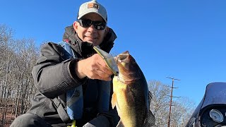 A couple on the Glide Bait late fallearly winter bass fishing [upl. by Oskar]