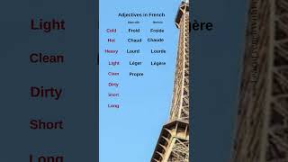 Easy French Words for Everyday Descriptions frenchforbeginners frenchpronunciation [upl. by Dnaletak]