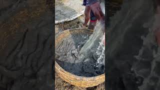 মাছের গায়ের কাঁদা পরিষ্কার করার পদ্ধতি  Cleaning mud from Fish [upl. by Maude]